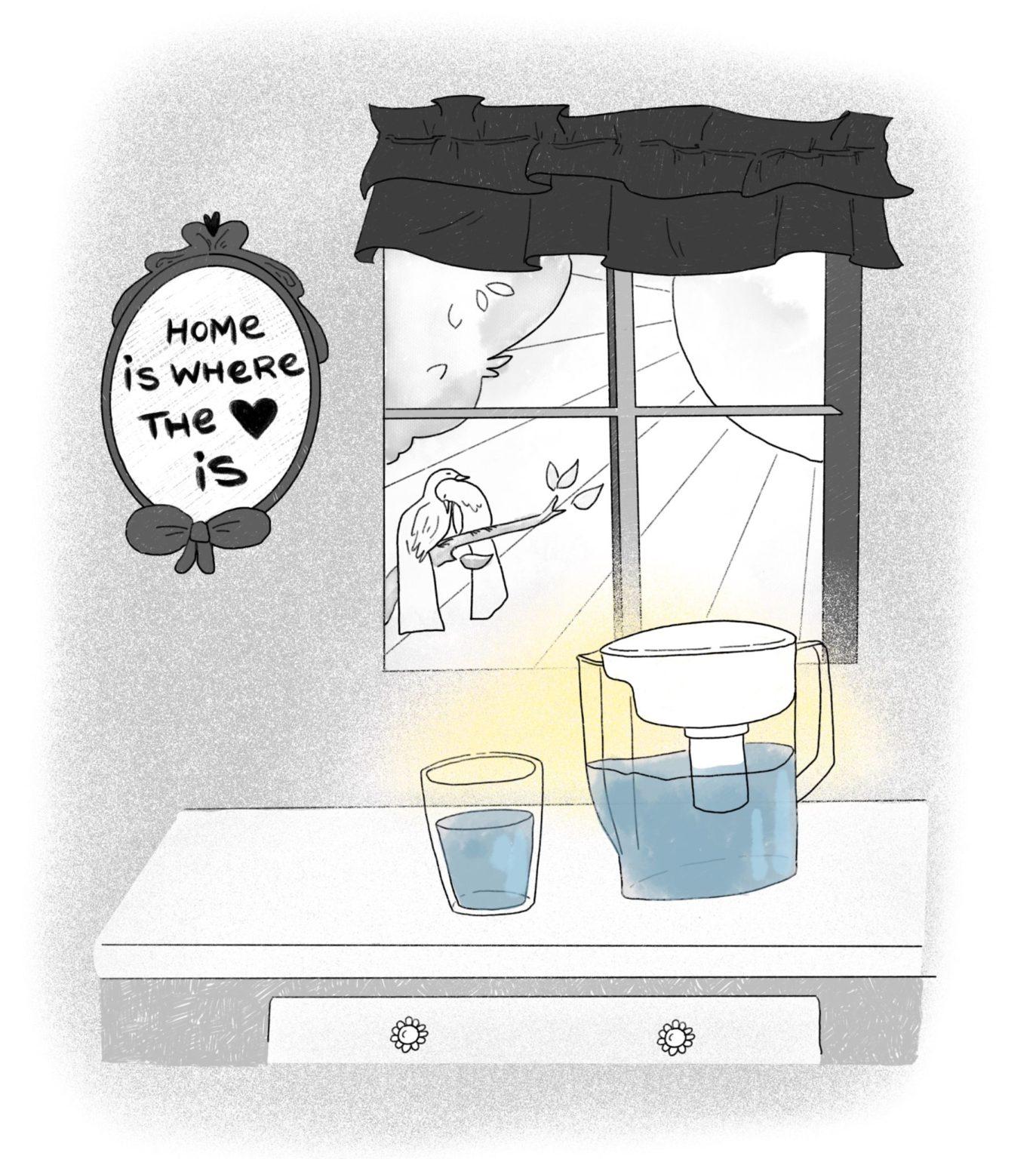 Dirty Brita Filter?  This One Trick Will Save Your Life (Maybe!) - z0vrkw2