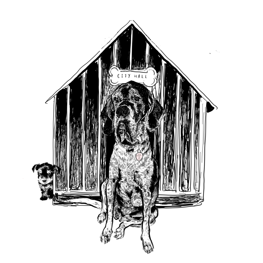 Meet the Animal Mayors Running, Scampering, and Flying for Reelection