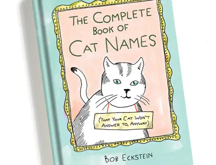 EXCERPT: The Complete Book Of Cat Names (That Your Cat Won't Answer To,  Anyway) | Weekly Humorist